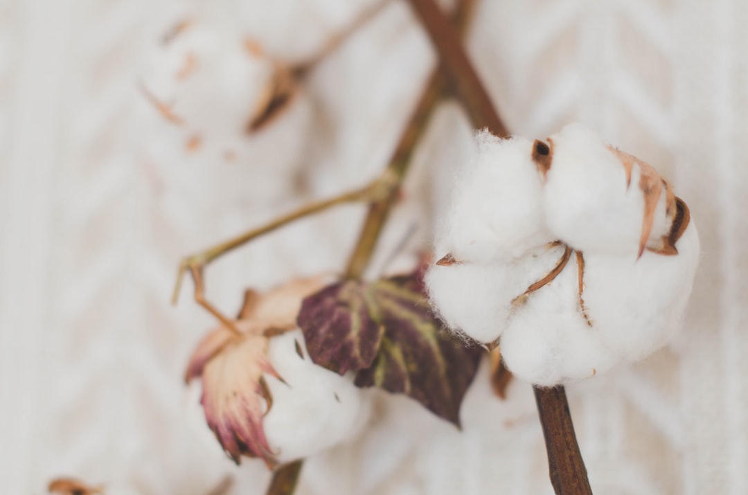 Cotton