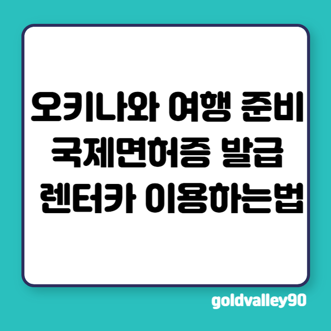 오키나와 여행 준비, 국제면허증 발급 및 렌터카 이용하는법