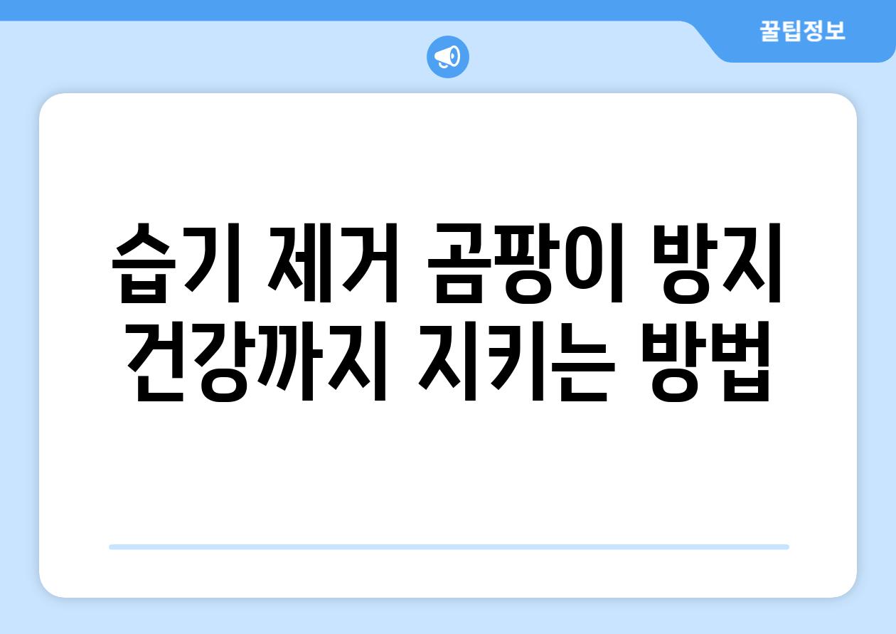 습기 제거 곰팡이 방지 건강까지 지키는 방법