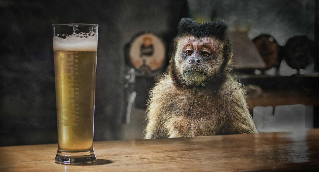 술-먹고싶어하는-원숭이
