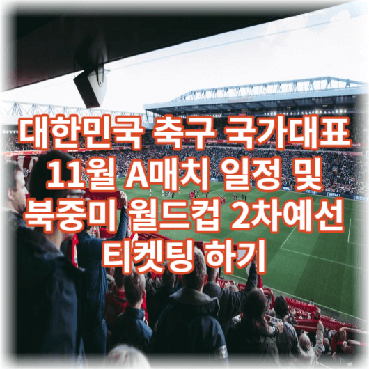  대한민국 축구 국가대표 11월 A매치 일정 및 티켓예매하기
