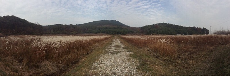  사적 부여 왕흥사지&부여향교
