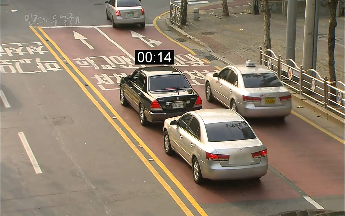 EBS 다큐프라임 - Docuprime, 인간의 두 얼굴2 제2부 아름다운 세상.mp4_20220608_205324.725.jpg