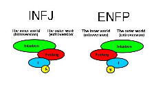INFP ENFP 특징 (feat. View of love) 7