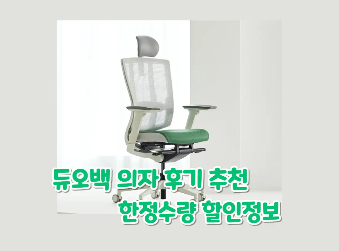 듀오백 의자 후기 가격 추천이유 섬네일