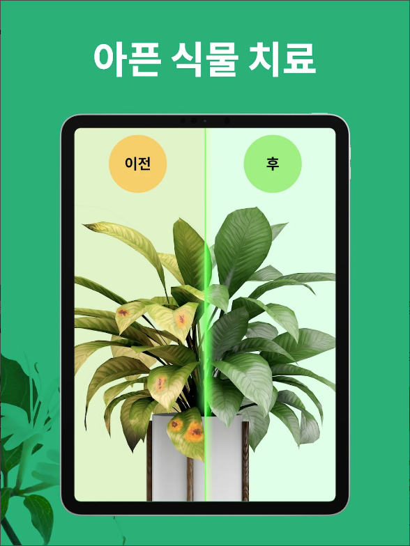 꽃 이름 찾기 어플, 사진 이미지로 꽃 찾고 검색하기