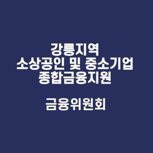 소상공인 및 중소기업 종합금융지원