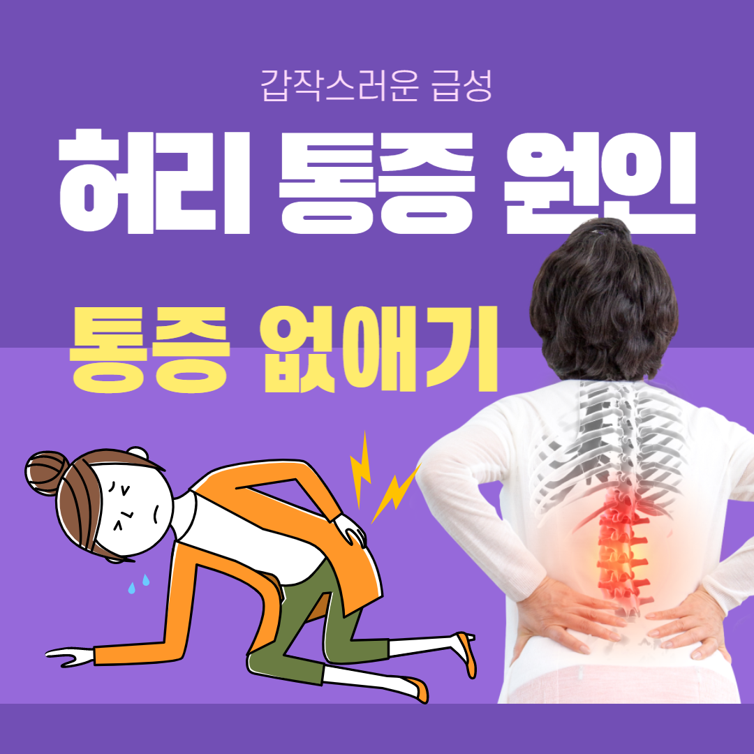 급성 허리통증 사진