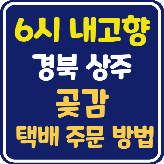 6시 내고향 상주 곶감 택배 주문 방법