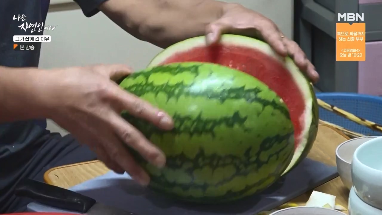 나는 자연인이다.E575.231012p-NEXT.mp4_20231012_201002.096.jpg