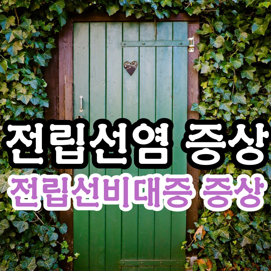 전립선염 증상-전립선 비대증 증상