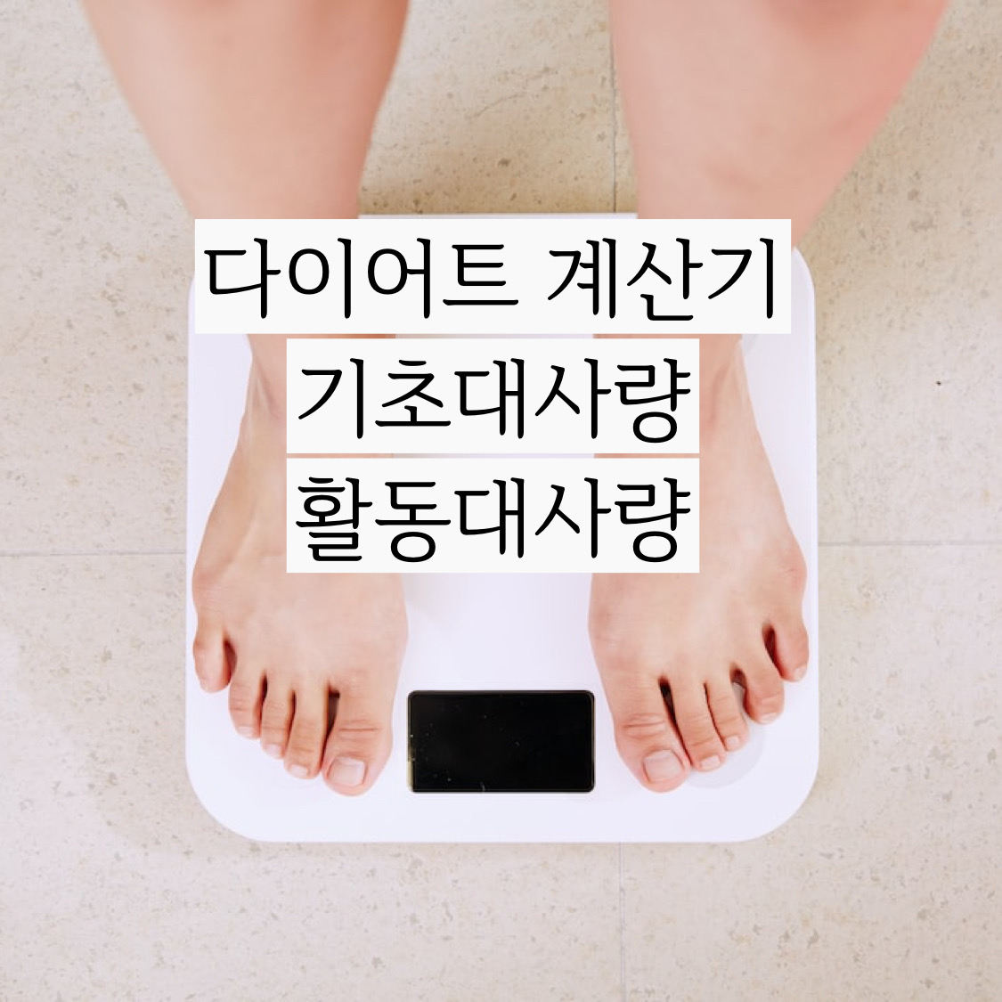  지난 운동 칼로리 계산기에 이어서 다이어트 계산기까지 추가로 음식 칼로리 계산기도 준비했습니다.