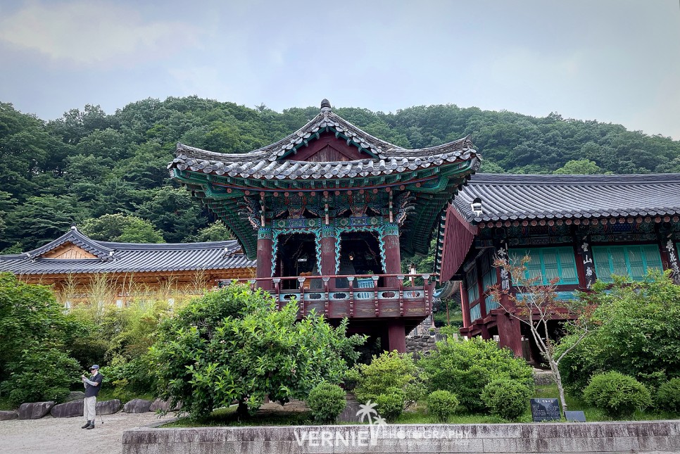 강원도1박2일 강원도 인제 가볼만한곳 8