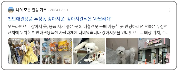 개옷추천_3_subsection