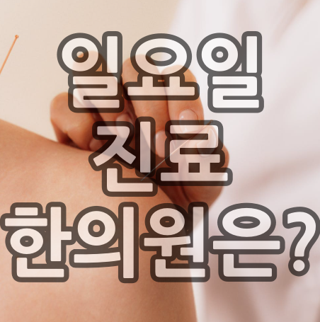  양주시 일요일 진료 한의원, 공휴일 진료 한의원.