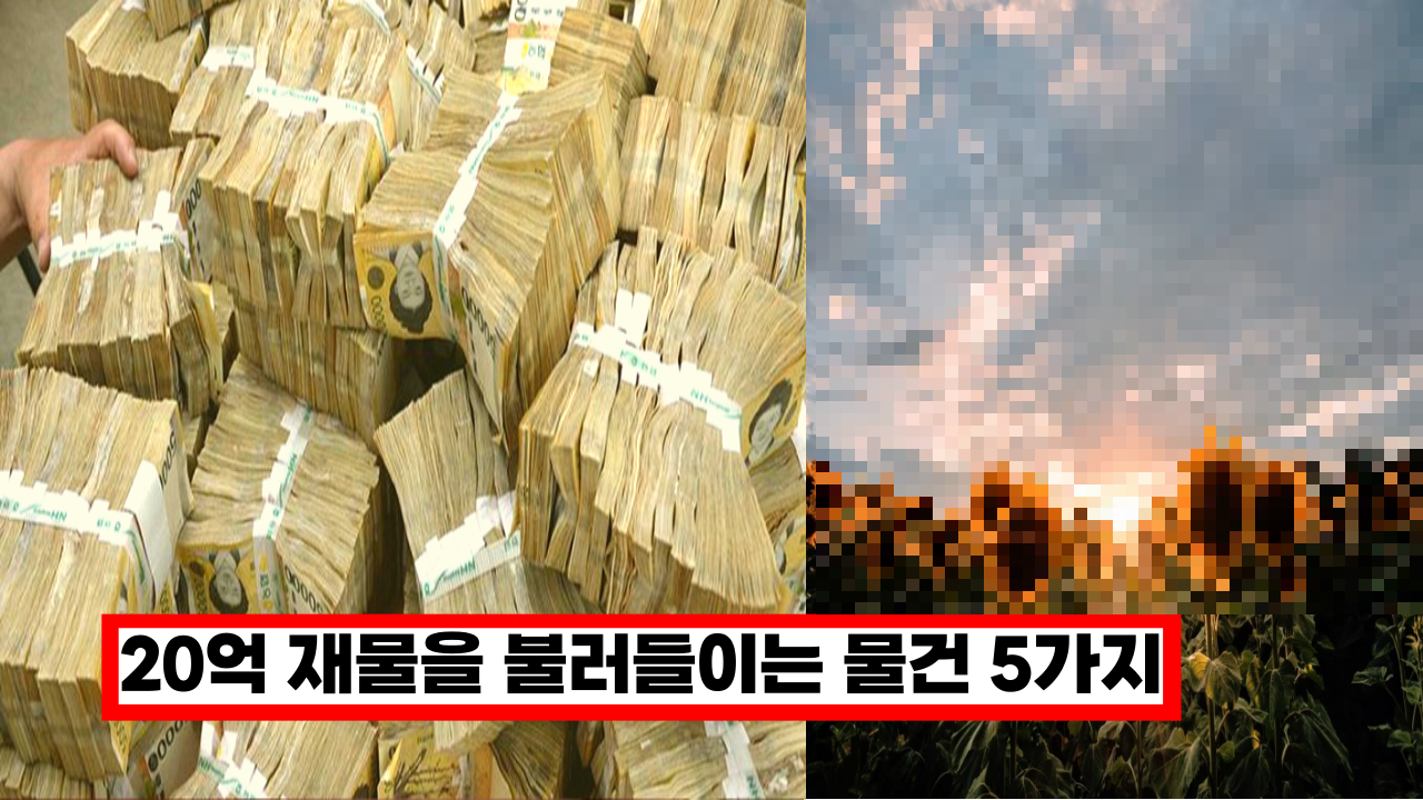  '이걸 집안에 두면 부자되요.' 20억 재물을 불러들이는 물건 5가지