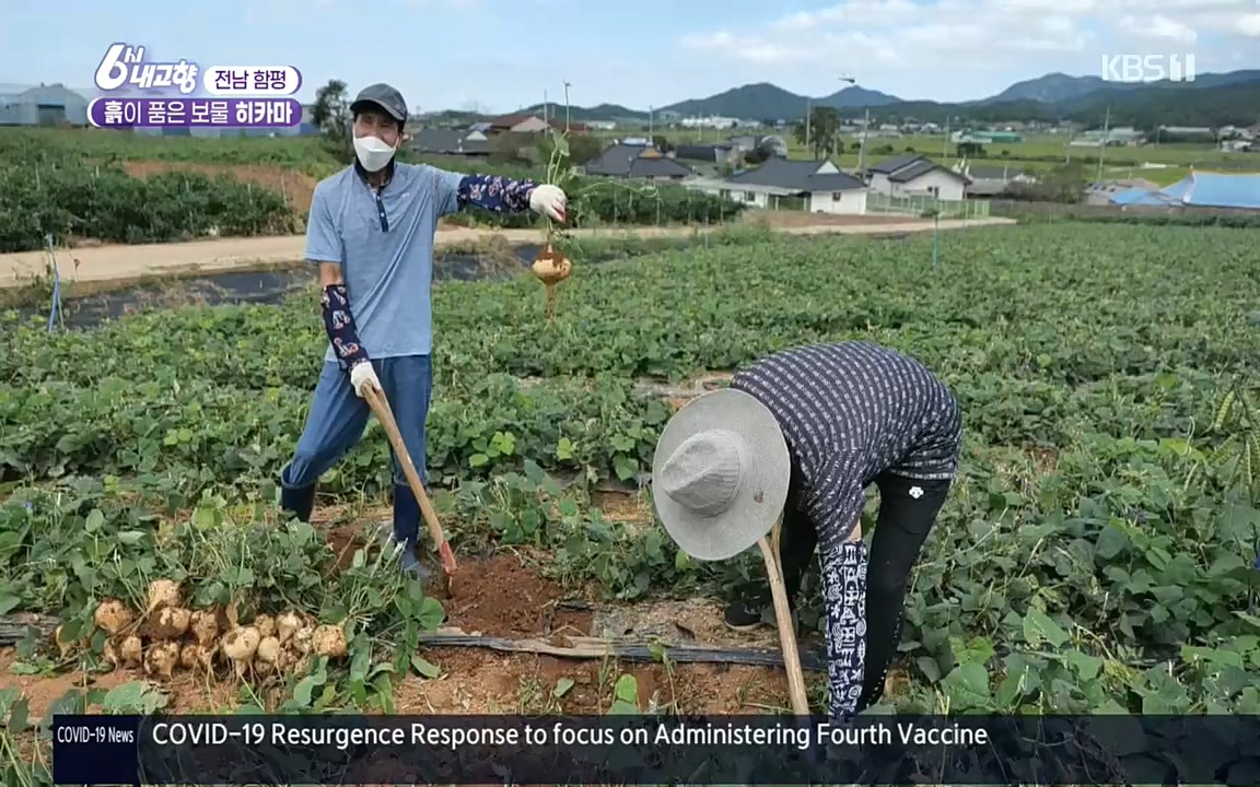 6시 내고향.E7617.220915p.H264-F1RST.mp4_20220916_213051.084.jpg