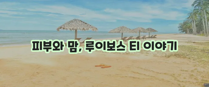 루이보스차 효능과 부작용 그리고 먹는 법까지 알아봅시다!