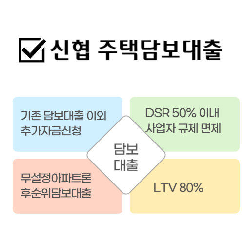 DSR 규제