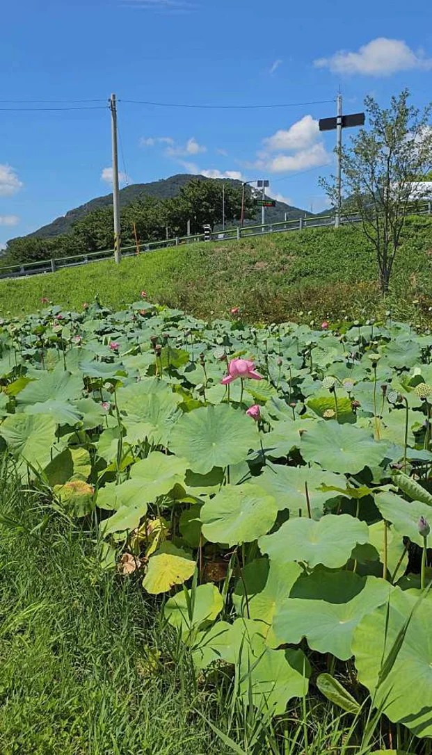 황산공원