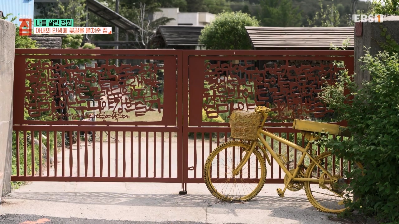 TV - 전 국민의 평생학교 EBS나를 살린 정원.mp4_20230814_211333.215.jpg