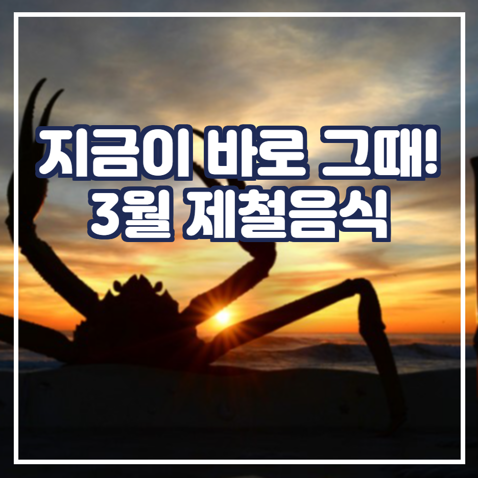  3월 제철 음식- 꼭 먹어야할  제철음식 수산물편