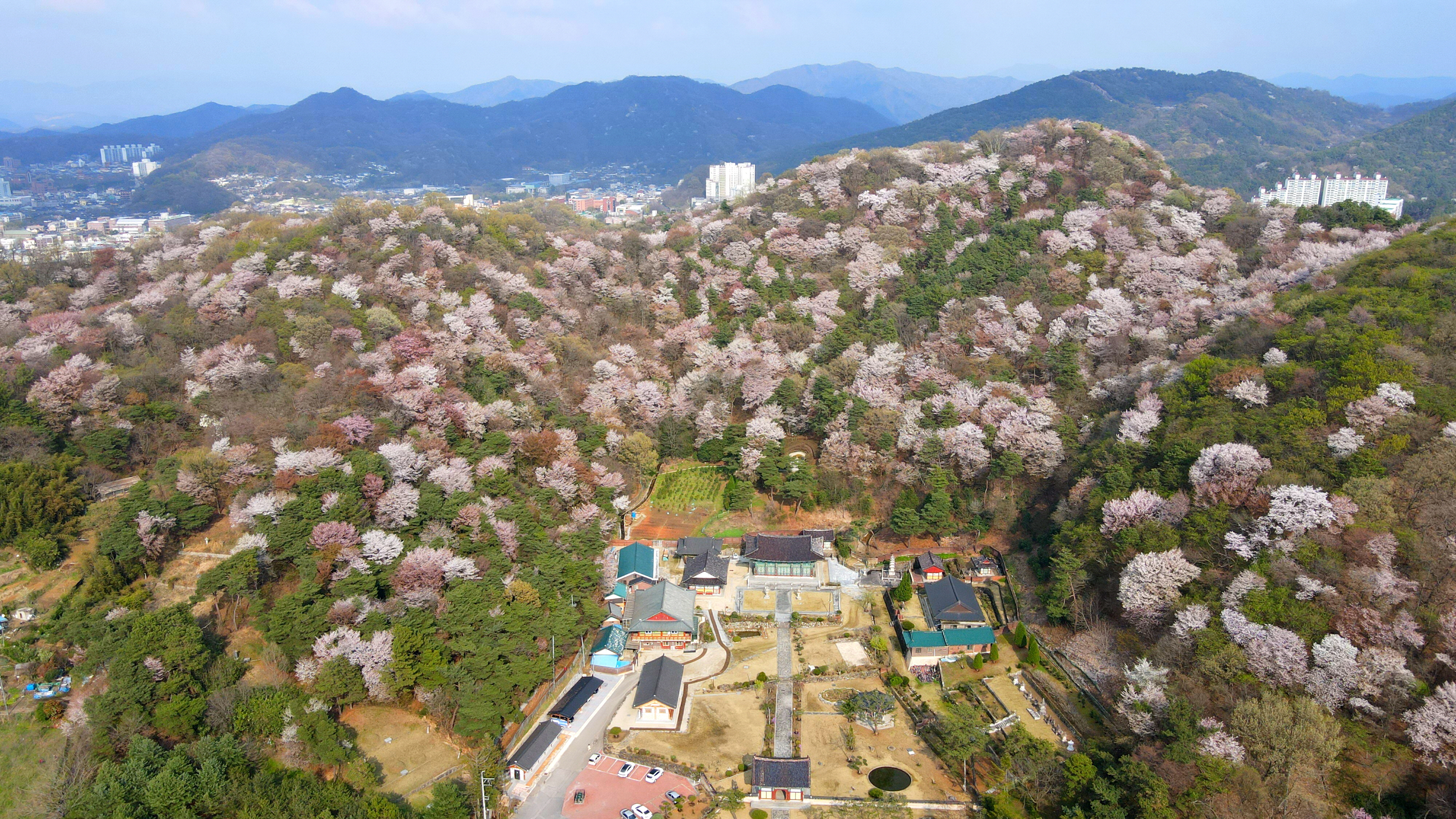 완산 정혜사(完山 定慧寺)_2024.04.드론촬영