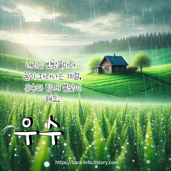 봄비 이미지