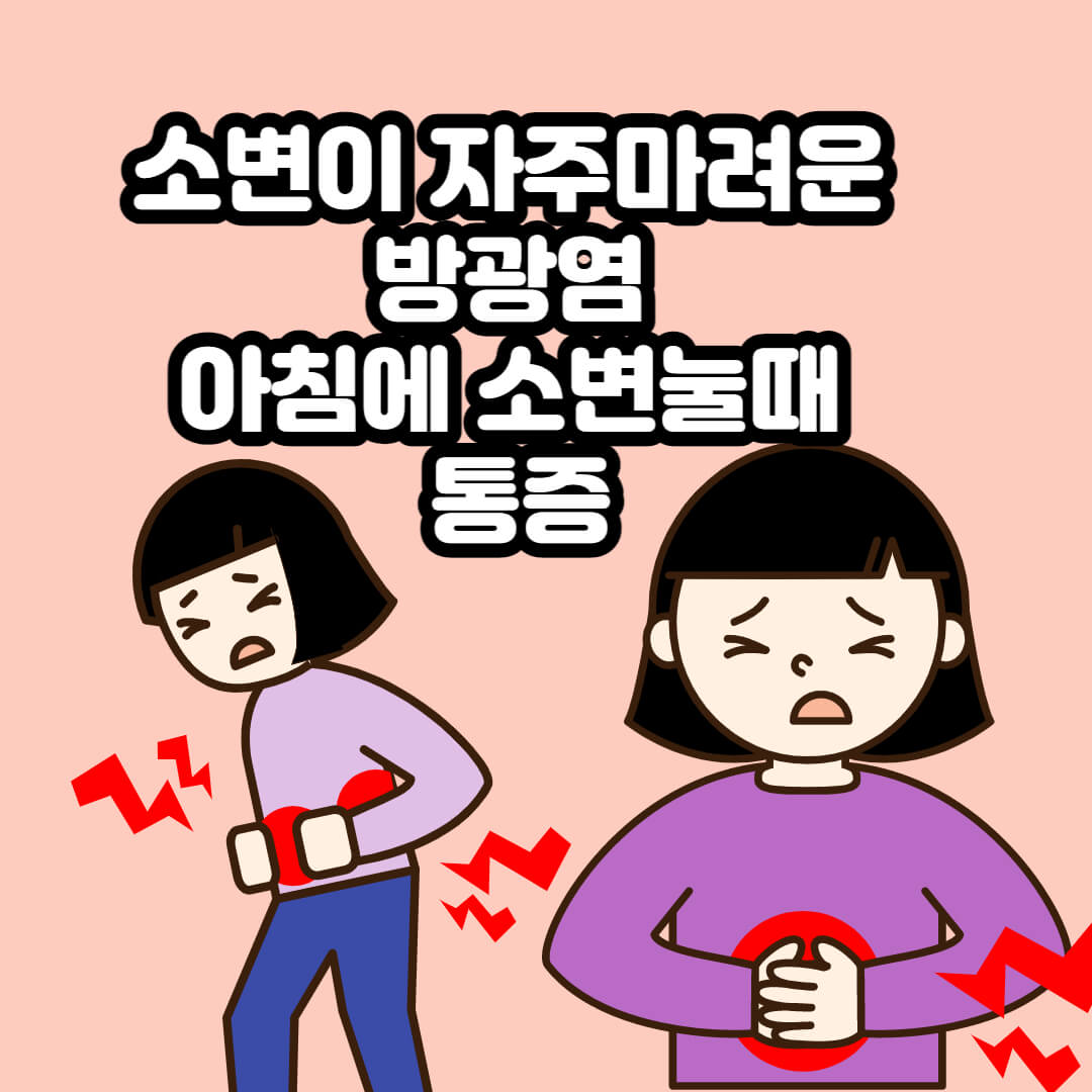  소변이 자주마려운 증상 방광염 보코렌