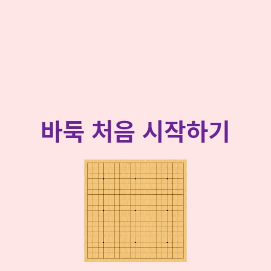 바둑-처음-시작하기