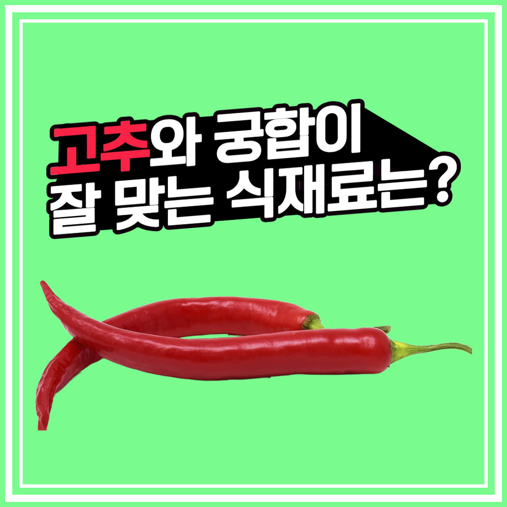  [음식궁합] 고추와 음식궁합이 잘 맞는 식재료는? 꽈리고추와 닭고기, 꽈리고추와 베이컨의 음식궁합 좋아요! With 암 예방에도 좋아요!