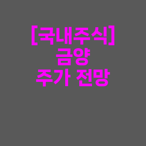 금양 배당금