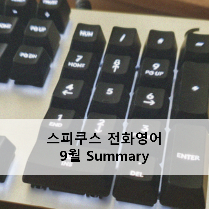  [전화영어] 9월 전화영어 피드백 정리, 흔한 영어실수 - Teacher Greg