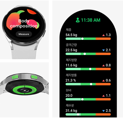 갤럭시 워치 4 체성분 분석