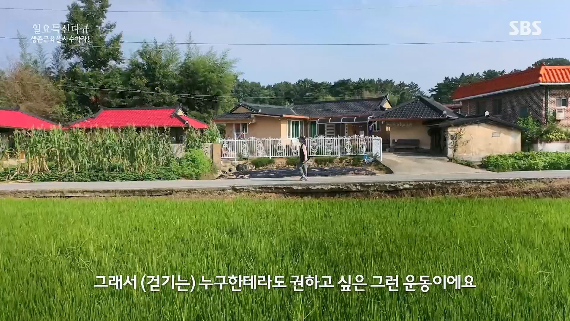 일요 특선 다큐멘터리.E319.230910p.H264-F1RST.mp4_20230918_202636.844.jpg