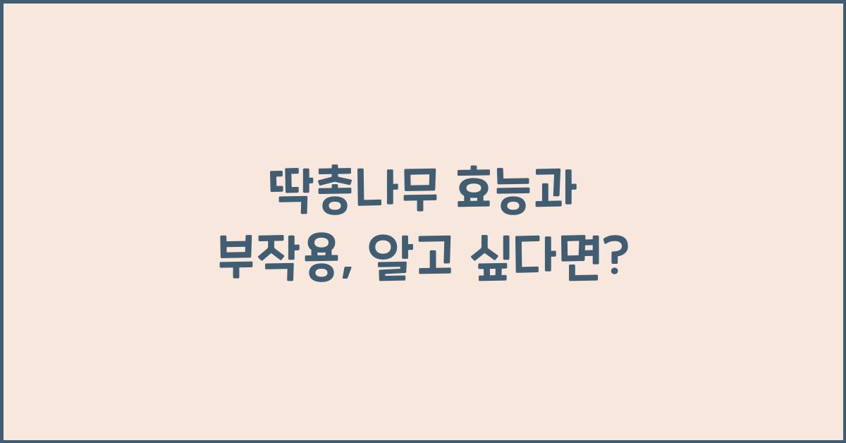 딱총나무 효능과 부작용