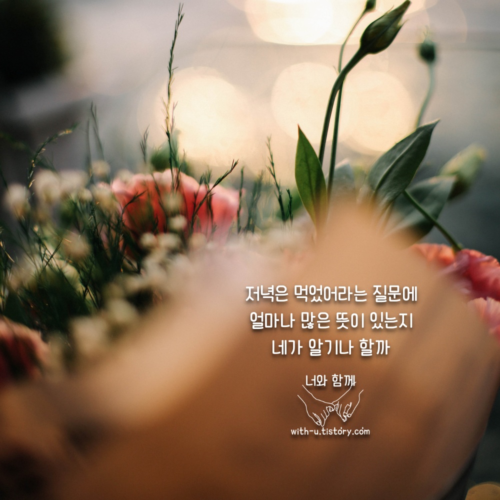  저녁 명언 : 짧고 좋은 글귀 : 짧은 명언
