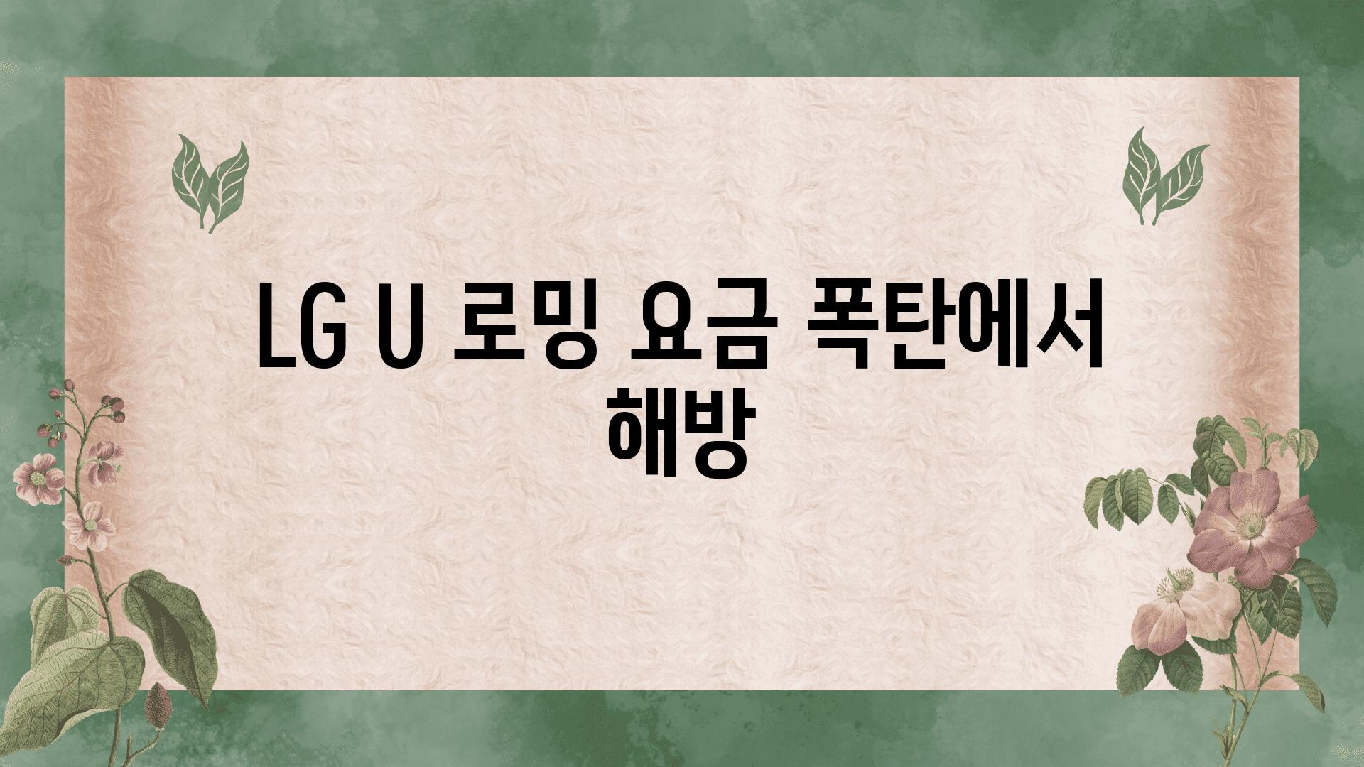 LG U 로밍 요금 폭탄에서 해방