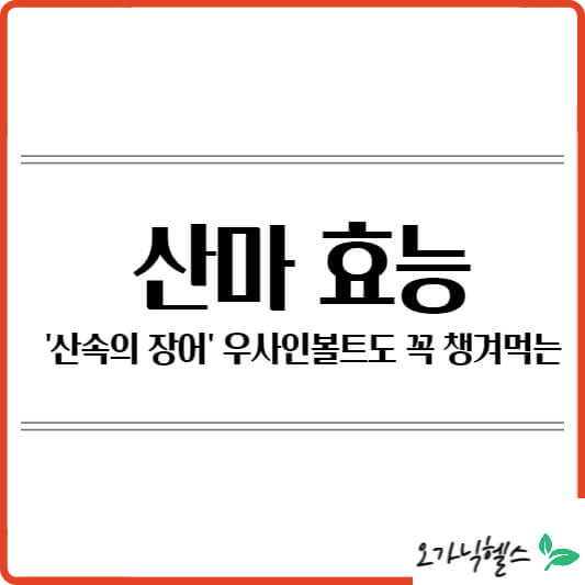 산마 효능