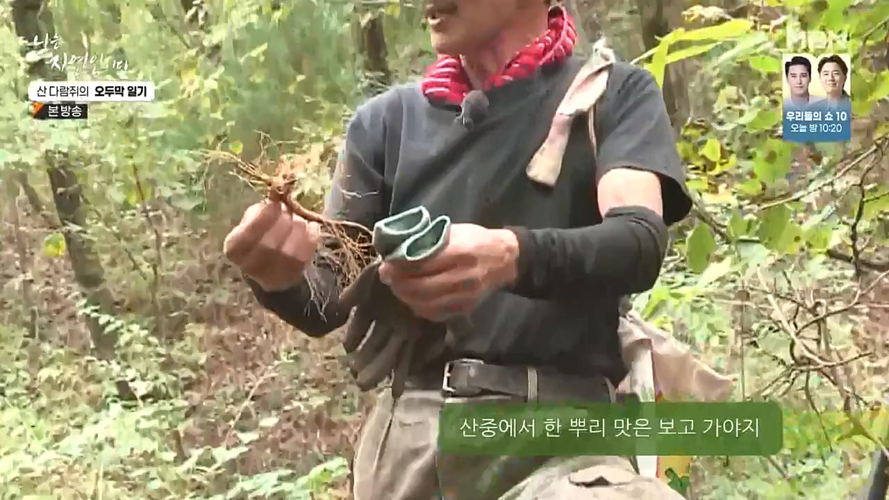 나는 자연인이다.E525.221027p-NEXT.mp4_20221027_192750.219.jpg