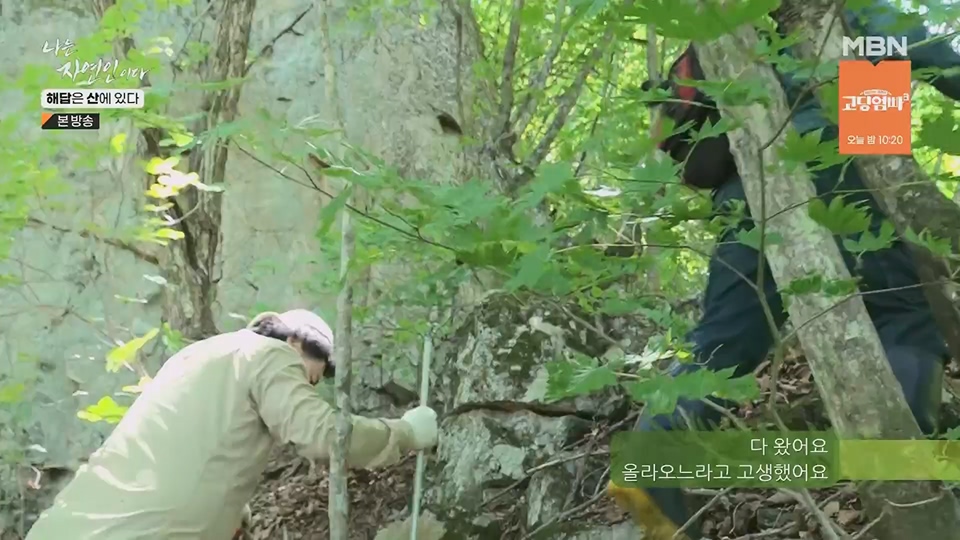 나는 자연인이다.E559.230621p.H264-F1RST.mp4_20230622_204021.416.jpg