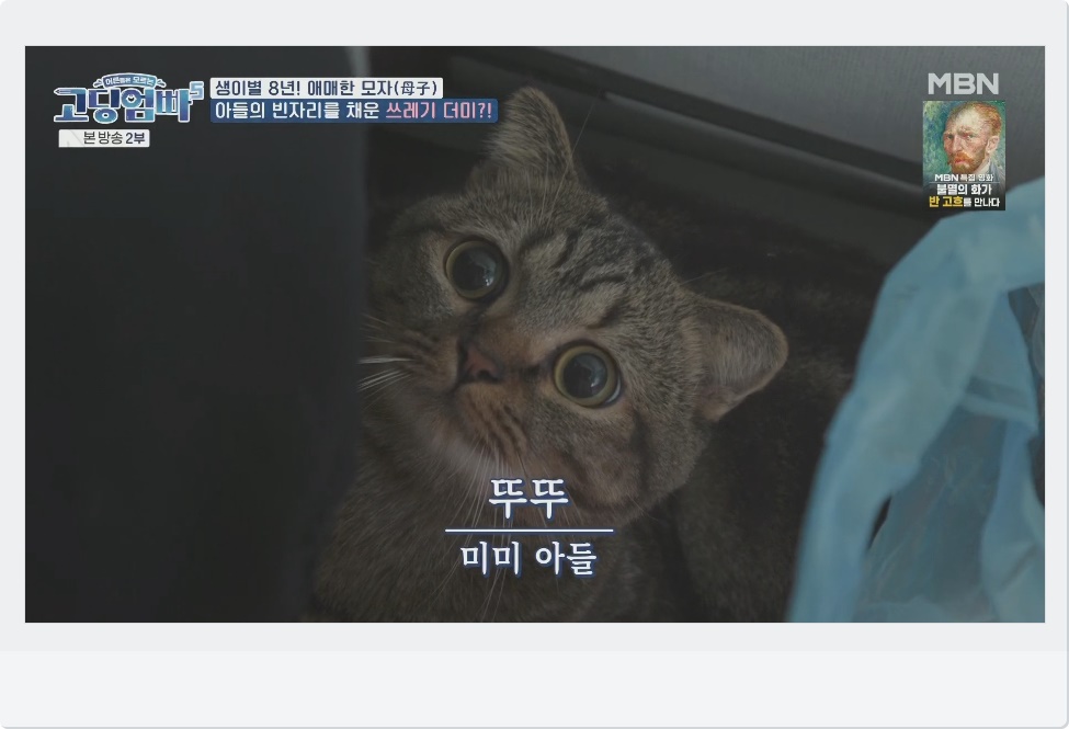 뚜뚜