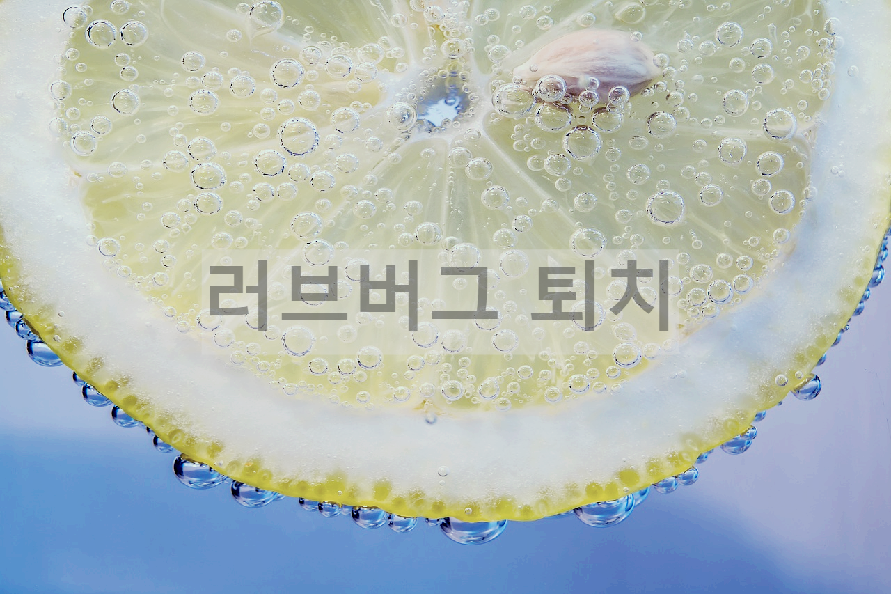 러브버그 퇴치방법 5가지 총정리 - 러브버그 퇴치방법 - undefined - 5. 습기관리 러브버그 퇴치방법 5가지 총정리 - 러브버그 퇴치방법 - undefined - 5. 습기관리