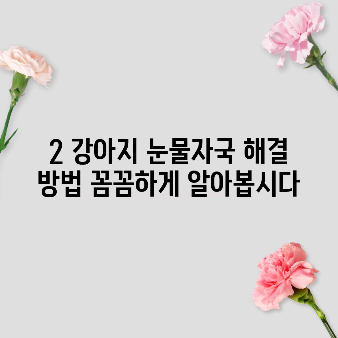 2. 강아지 눈물자국 해결 방법: 꼼꼼하게 알아봅시다!