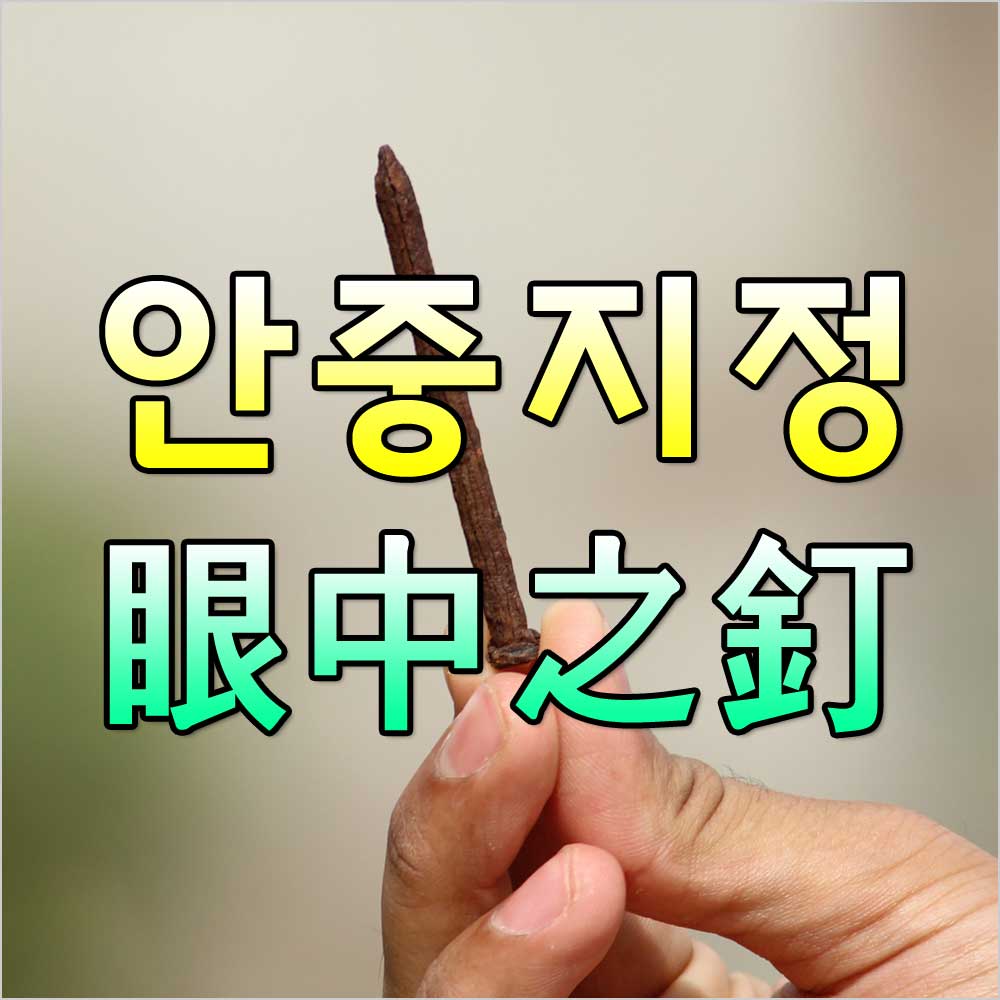 안중지정