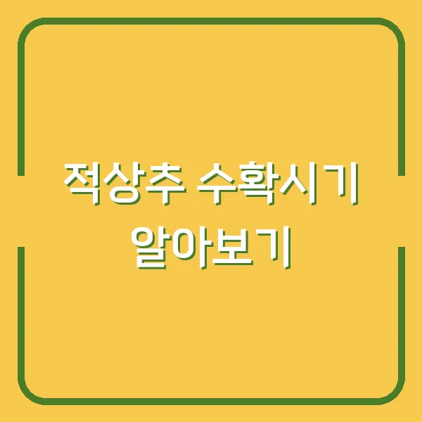 적상추 수확시기 알아보기