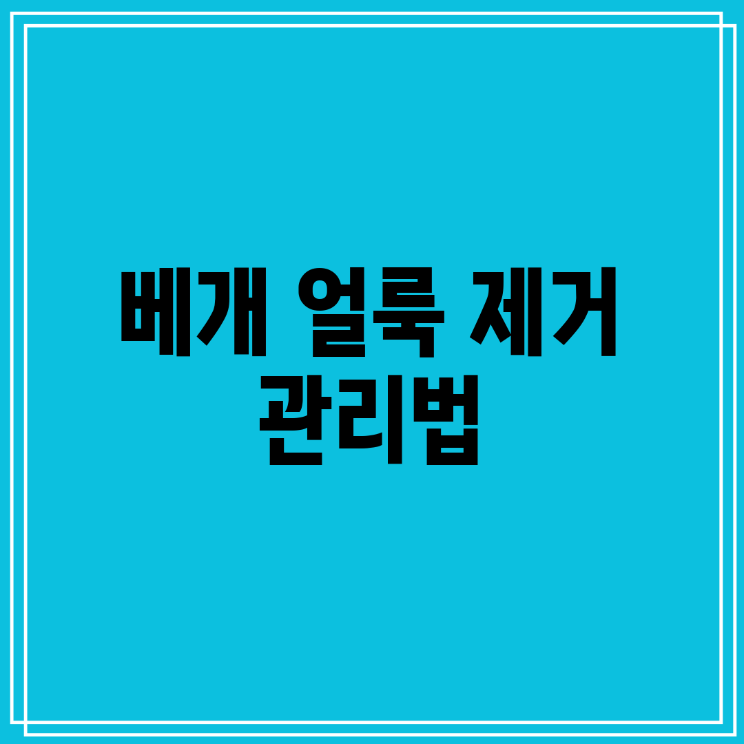 베개 얼룩 제거 관리법