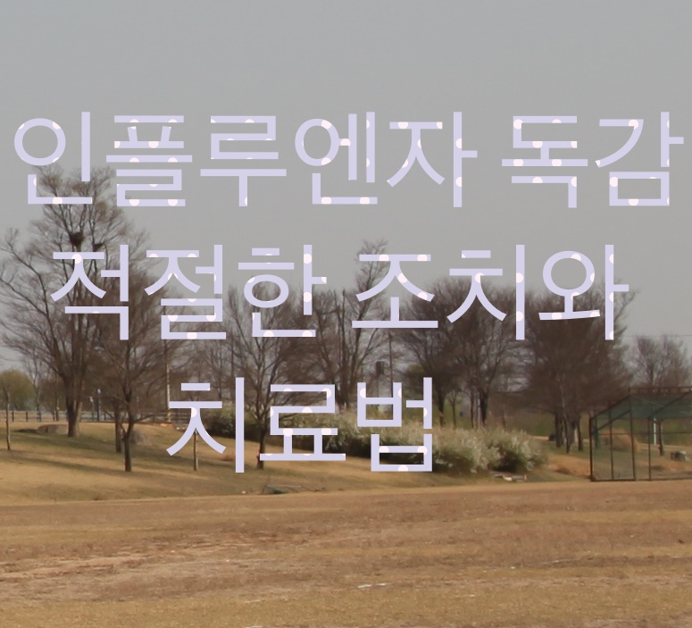  인플루엔자 독감 적절한 조치와 치료법으로 빠르게 회복하세요