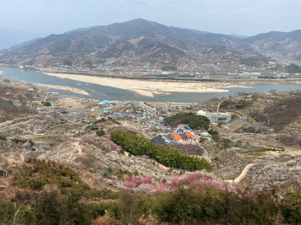 섬진강과 매화마을의 모습