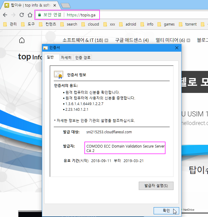  티스토리 SSL 설정 보안 접속 인증서 발급 대기 중 해결하기